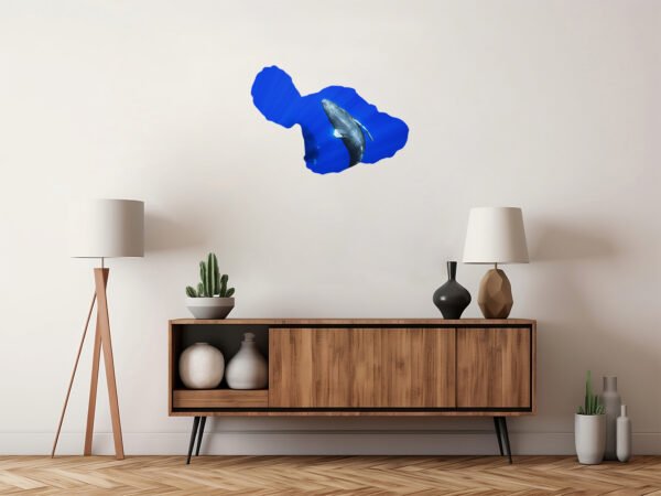 Product 10 - Image 9