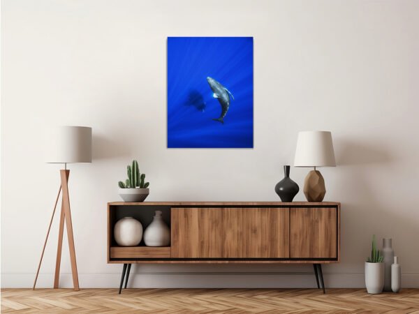 Product 10 - Image 3