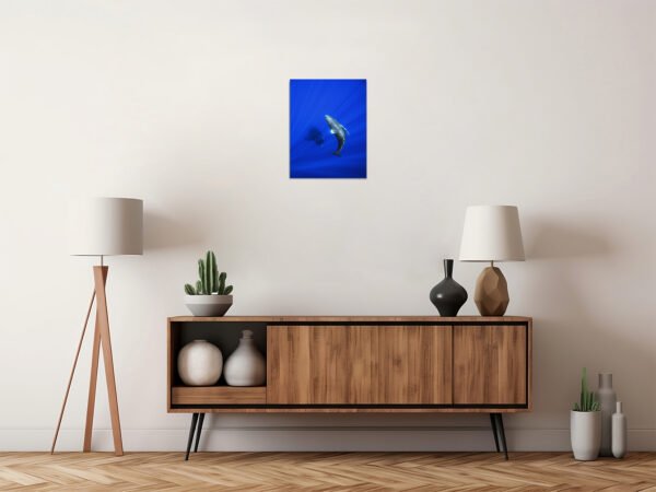 Product 10 - Image 5