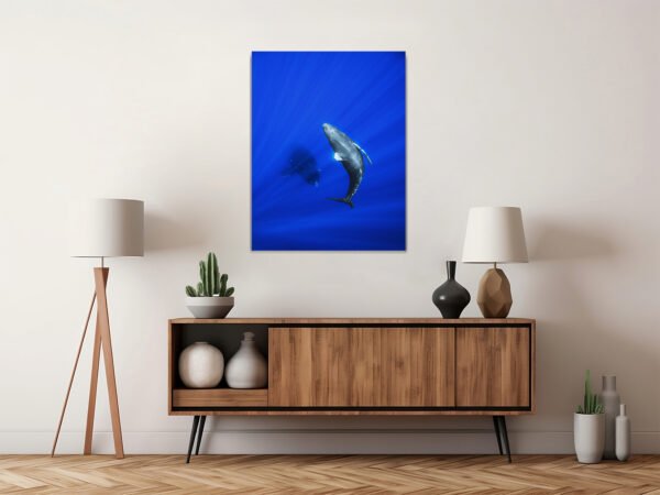 Product 10 - Image 2
